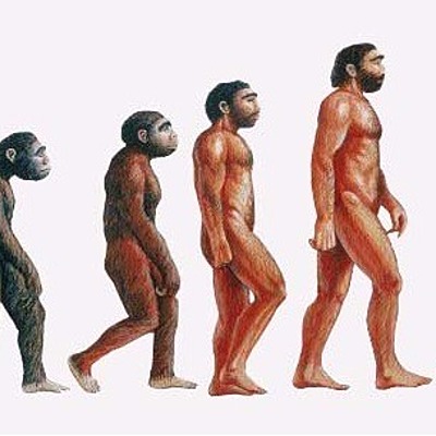 Timeline: LA PREHISTÒRIA GRUP PAU