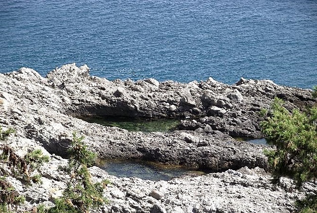 Nasce il primo scriptorium