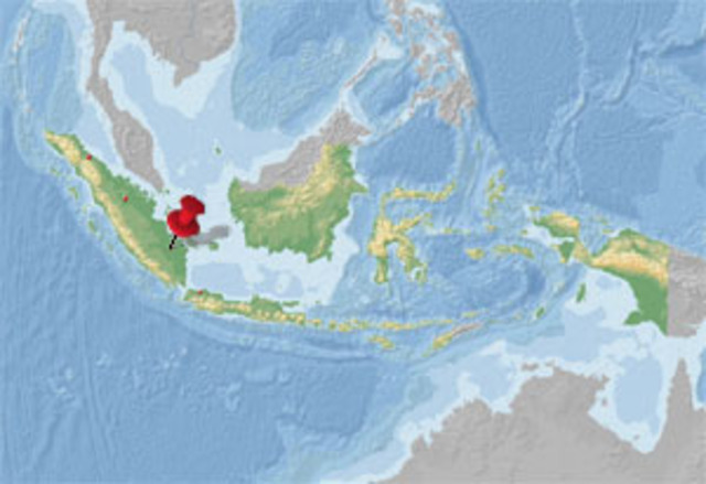 Conquest of Palembang