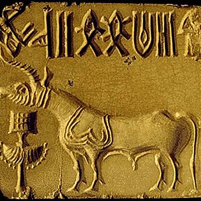 Timeline: История ТНР