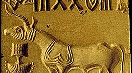 Timeline: История ТНР