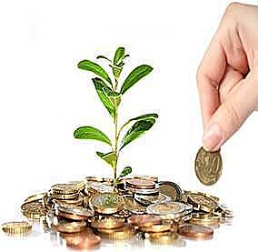 Sostenible y Sustentable