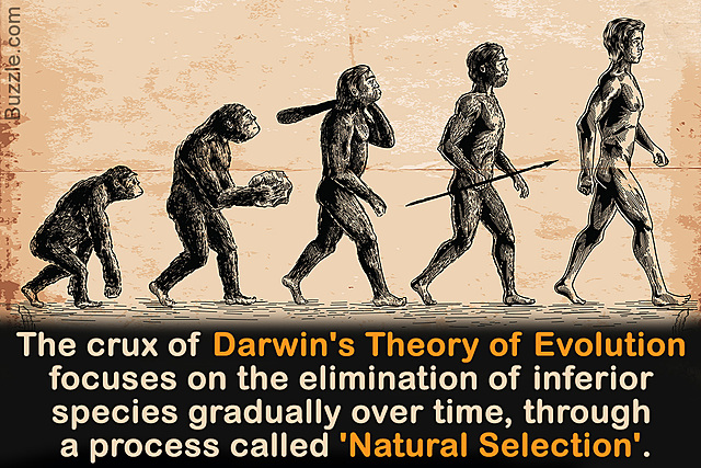 Charles Robert Darwin- Born February 12, 1809- Died April 19, 1882