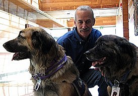 Манипуляция отдельными атомами