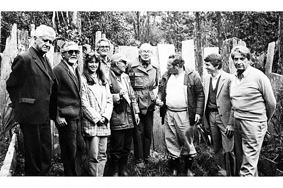 Comisión de paz de 1981