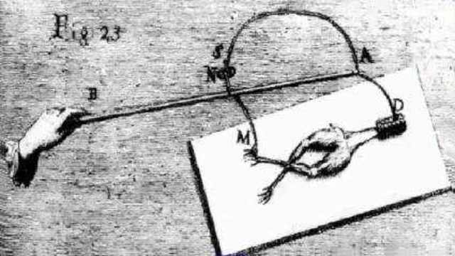 Guigi Galvani Discovery