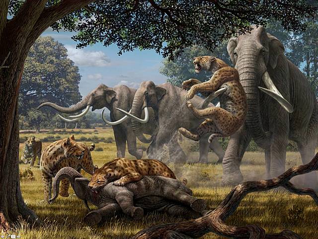 Aparición del hombre en la península