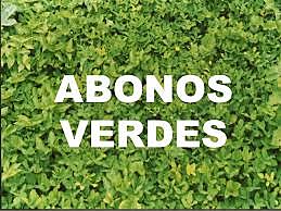1960 Incorporación de abonos verdes para control de Rhizoctonia solani