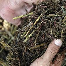 1997 Incorporación de residuos orgánicos