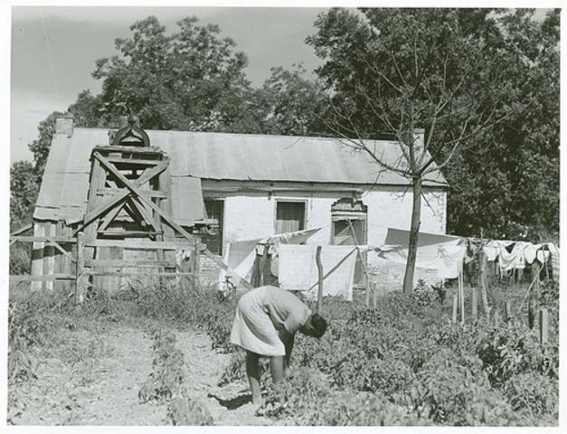 Sue - Lay Armedia Stauntla's Birth