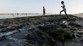 Timeline: Investigação