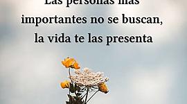 Timeline: Linea de vida