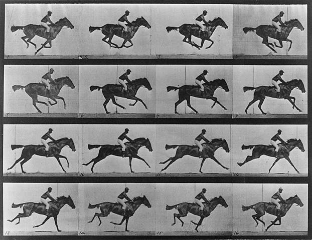Prof - Le mouvement / Edward Muybridge - "Sallie Gardner at a Gallop" (série de 24 photographies en noir et blanc)