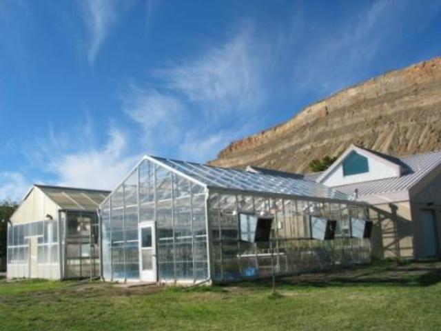 Brand Inspection Divion