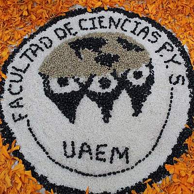 Timeline: Mi primer semestre en la FCPYS