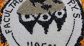 Timeline: Mi primer semestre en la FCPYS