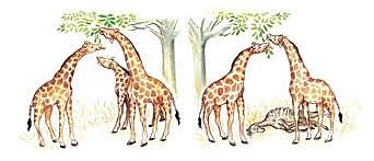 La teoria sull'evoluzione di Charles Darwin.