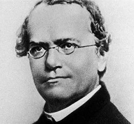 Nasce Gregor Mendel