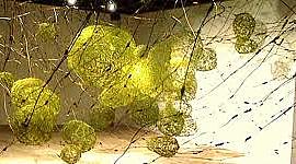 Timeline: ARTS ET JARDINS