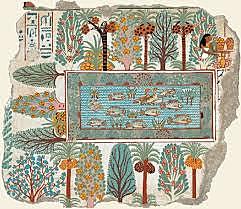 Le jardin de Nébamon