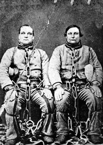 The last few convicts were removed from QLD