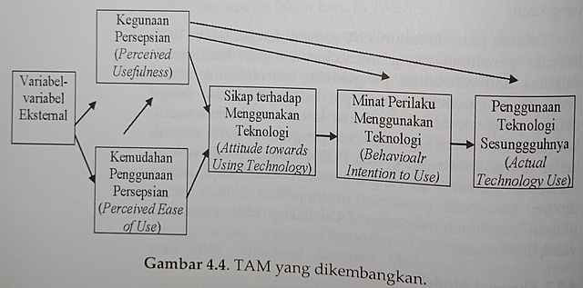 TAM with External Variable