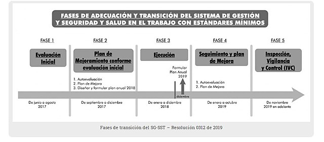 RESOLUCION 0312 DE 2019