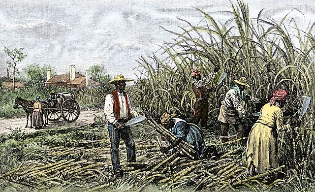 The Plantation Trade Act