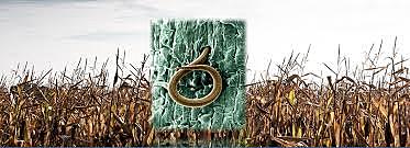 Nematodos Parásitos