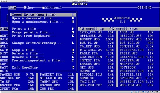Brain: El primer virus masivo
