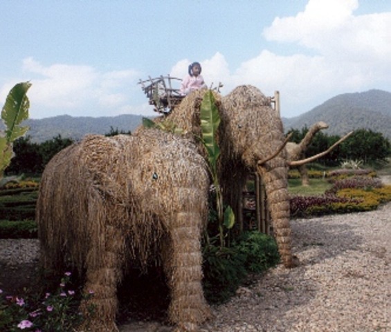 Me In Chengmai!!!!!!!!!!!!!!!