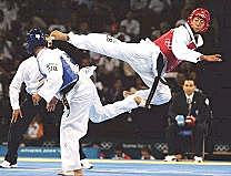 Comencé a practicar taekwondo.