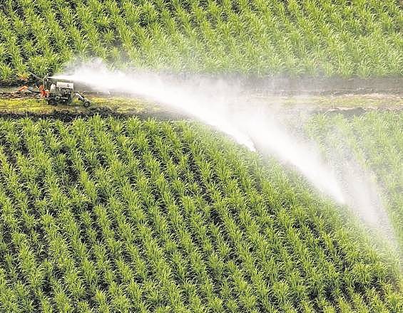 SURGE LA AGROINDUSTRIA.