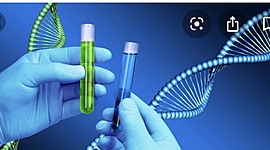 Timeline: Historia De La Genética