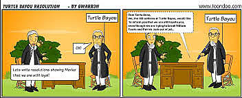 turtle bayou resolution