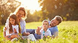 Timeline: Jessie's timeline