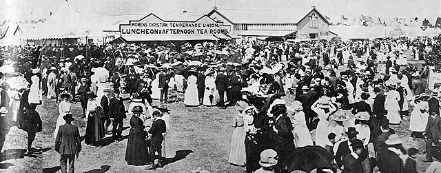 The Woman’s Christian Temperance Union