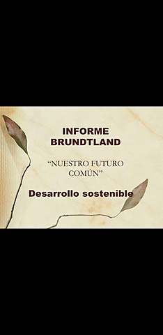 Informe Brundtland