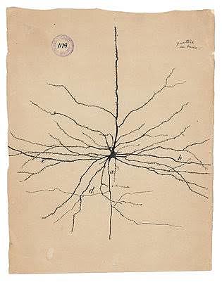Santiago Ramón y Cajal