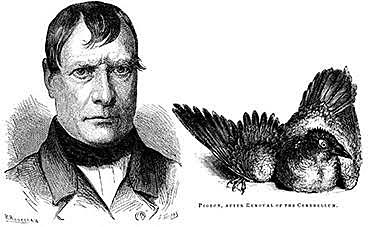 Marie-Jean Pierre Flourens