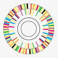 First bacteria genome is sequenced