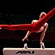 Artistic gymnastics 010