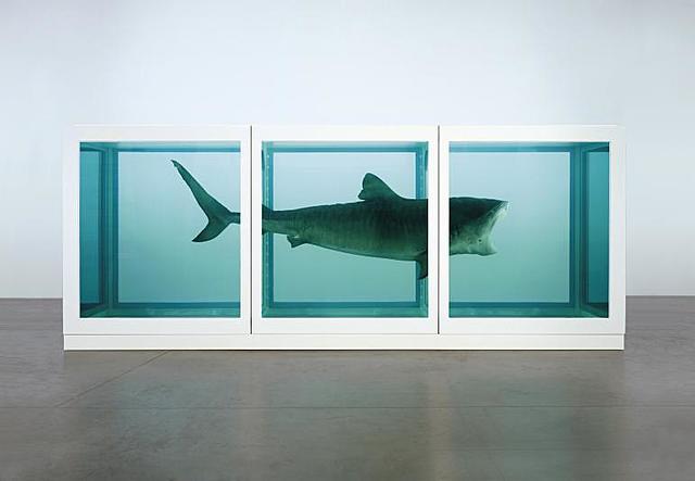 "The Physical Impossibility of Death in the Mind of Someone Living" 1991. Damien Hirst