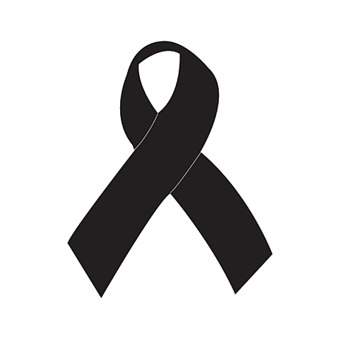 Fallecimiento de mi creador