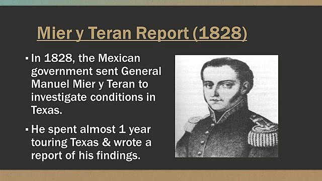 Mier Y Teran Report