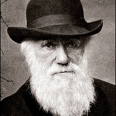 Timeline: Desarrollo de la teoría de la evolución