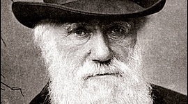 Timeline: Desarrollo de la teoría de la evolución