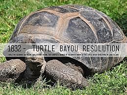 Turtle Bayou Resolutions
