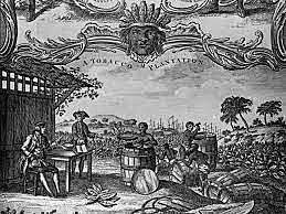 Tobacco First Shipped From Virginia