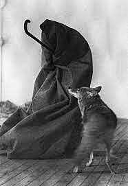 Nº 46 I love America and America loves me, Joseph Beuys 1974